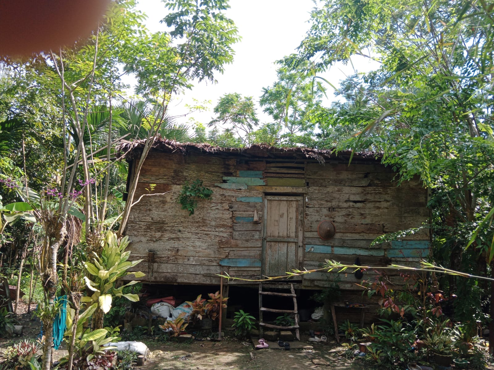 Rumah Warga Yang Sudah Tidak Layak Huni Di Simpang Ulim Tak Kunjung Mendapatkan Bantuan Dari Pemerintah